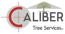 Caliber Tree Services logo